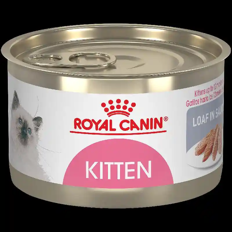 Royal Canin Feline Kitten Loaf In Sauce Canned Cat Food, 5.1 oz