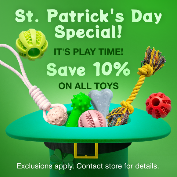 Promotion Image
