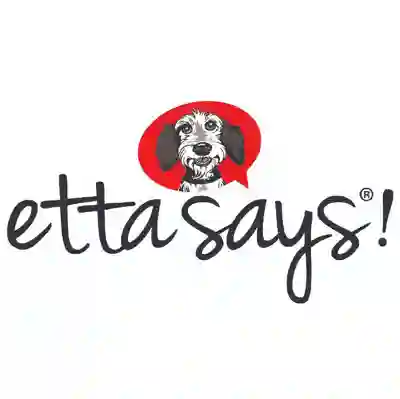 Image Alternative Text