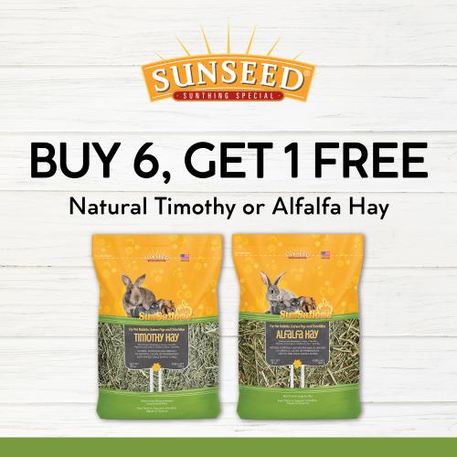 Promotion Image
