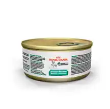 RC Starter 5.1oz