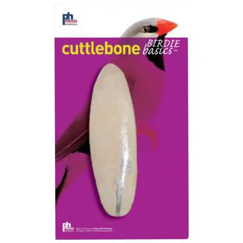 Cuttlebone Large 8-10" Single