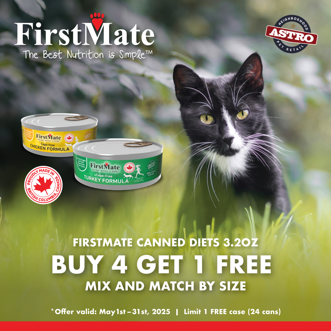 Promotion Image