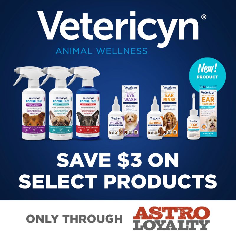 Promotion Image
