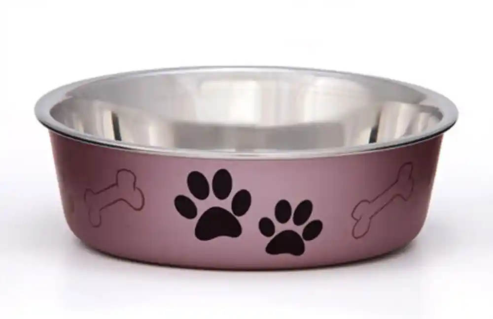 Bella Bowl Grape Large