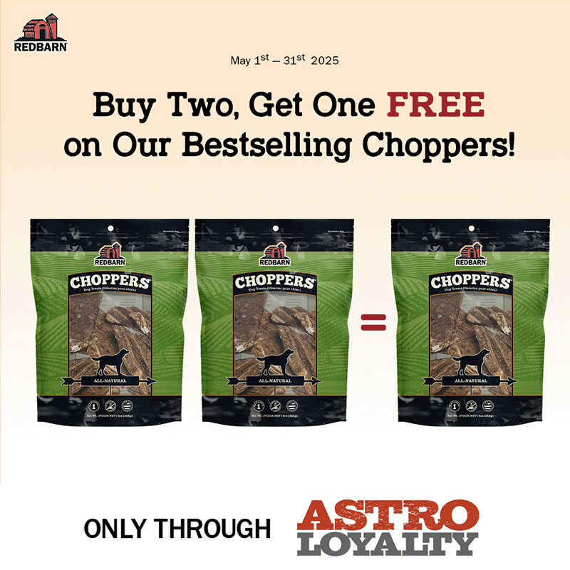 Promotion Image