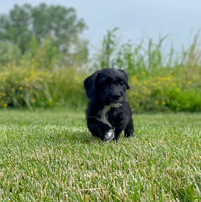 image_cropper_15C5196E-E241-472F-B1CD-6A8D091010BD-96283-00000F43586C0EC0.jpg